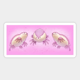 Kawaii Fairy Armadillo Sticker